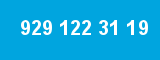 929 122 31 19